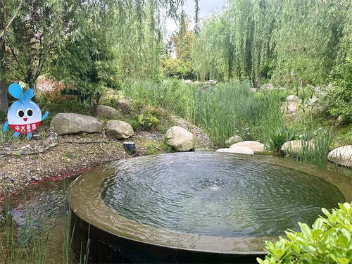 武漢利用再生水為河流生態(tài)補(bǔ)水
